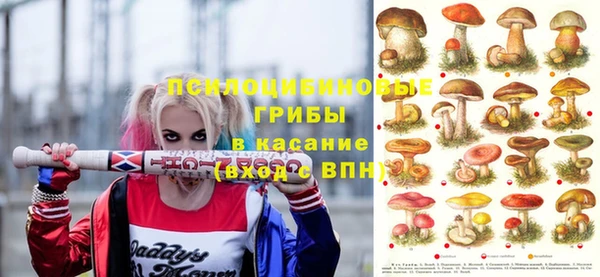 соль курить ск Аркадак