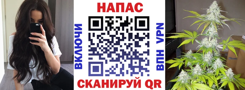 Бошки Шишки планчик  mega ТОР  Усть-Лабинск 
